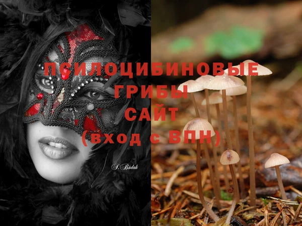 MESCALINE Бородино